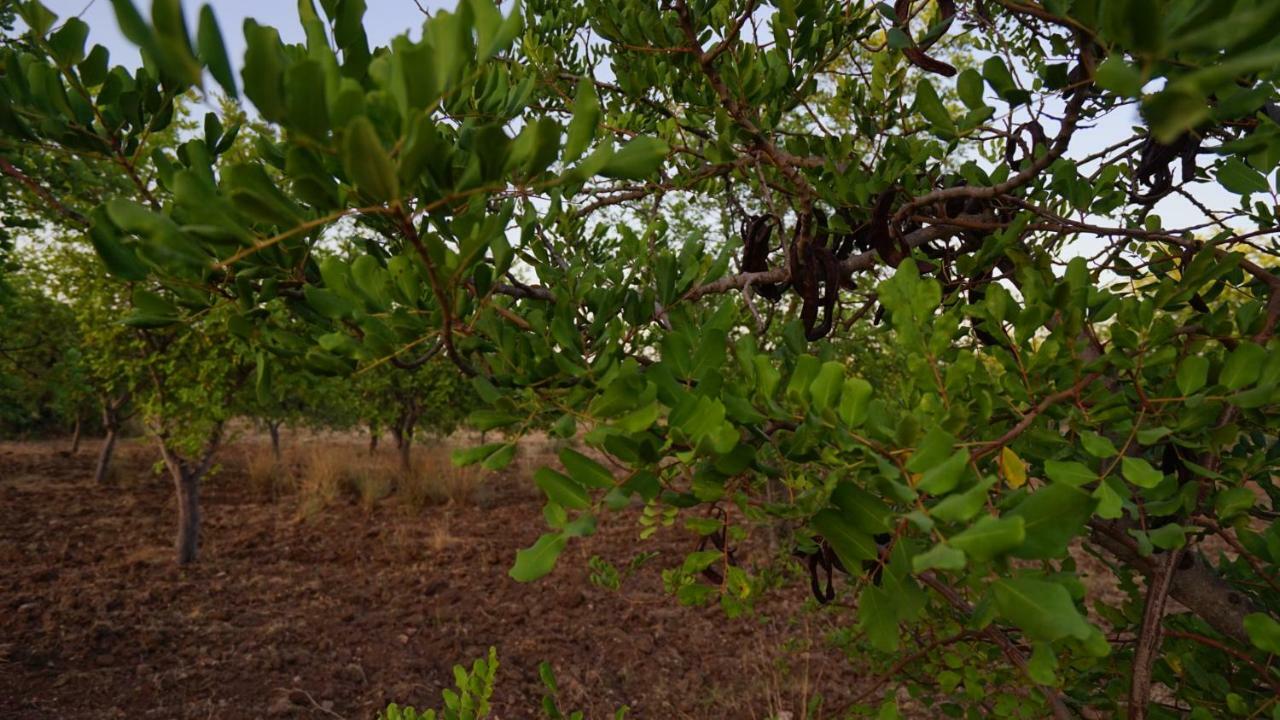 Agriturismo Gaia Villa Noto Eksteriør bilde
