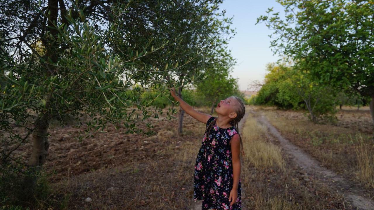 Agriturismo Gaia Villa Noto Eksteriør bilde