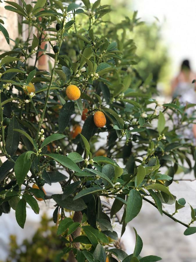 Agriturismo Gaia Villa Noto Eksteriør bilde